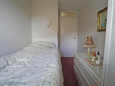 Picture 16